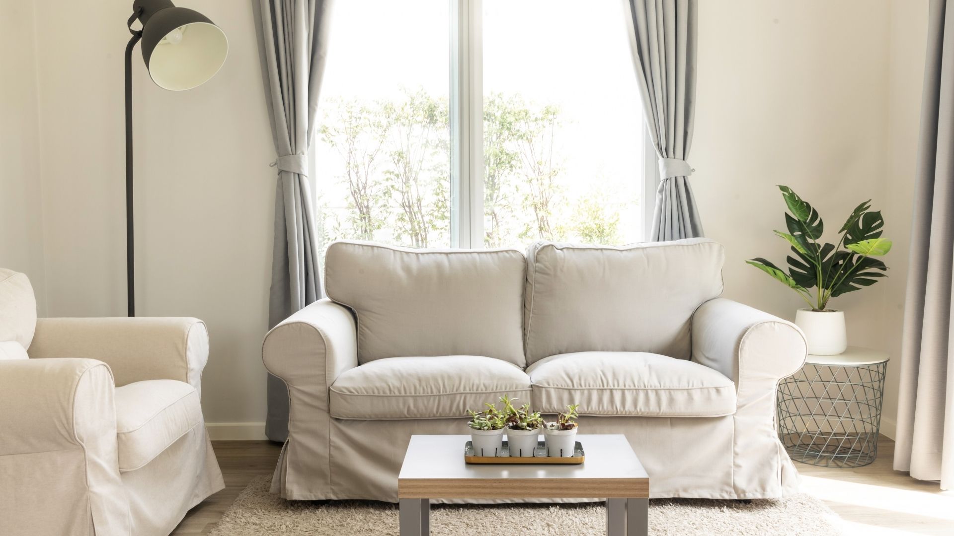 Curtain, Carpets, Furniture