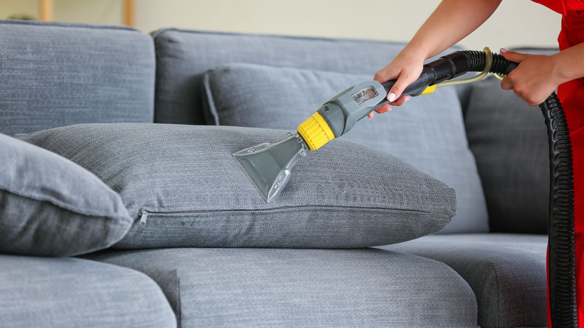 Sofa cleaning